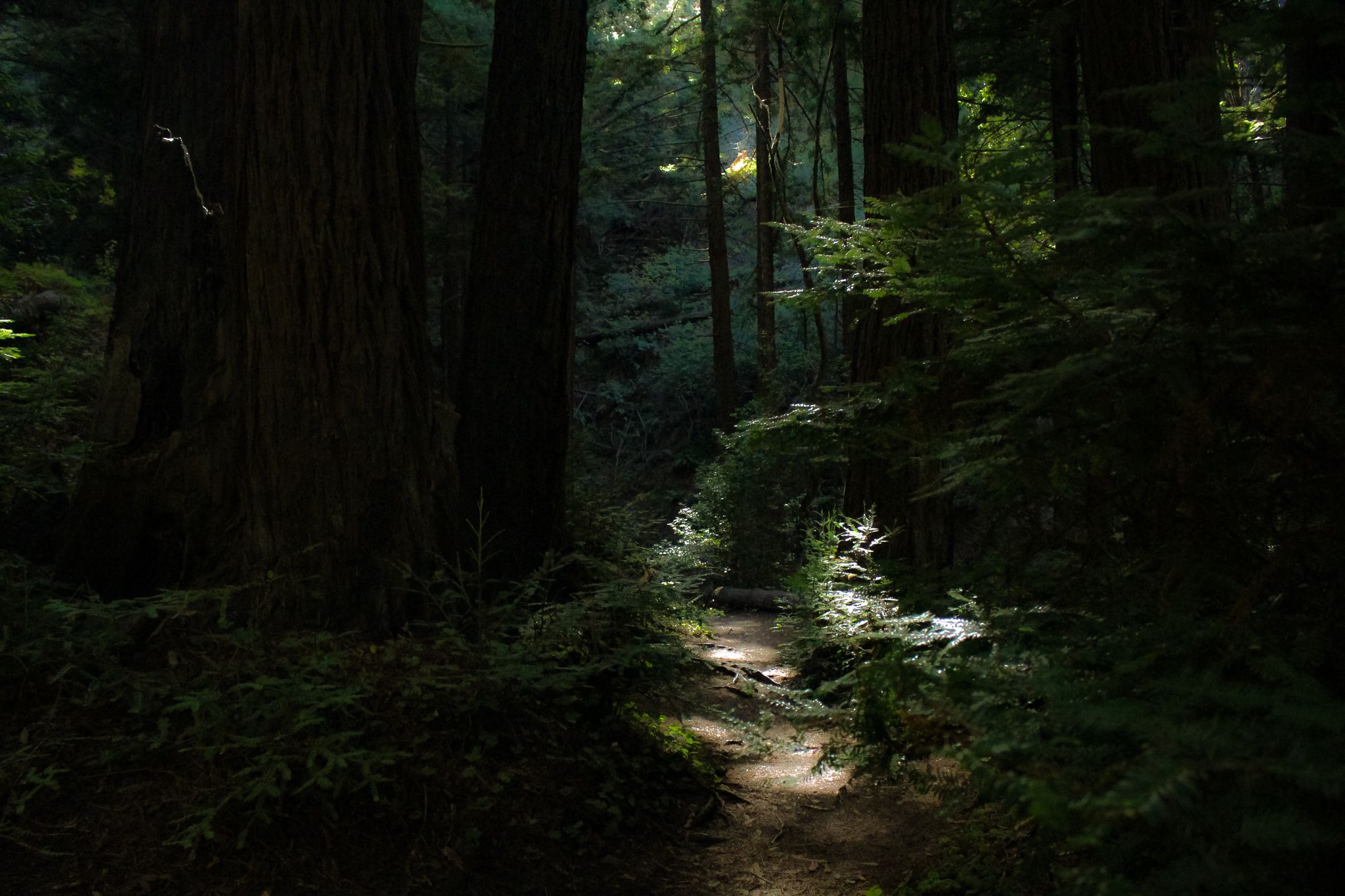 a report on the joke that is the UN Human Rights Council