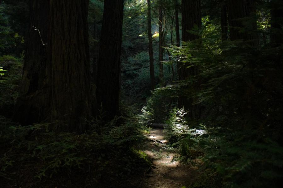 a path through history, our stories