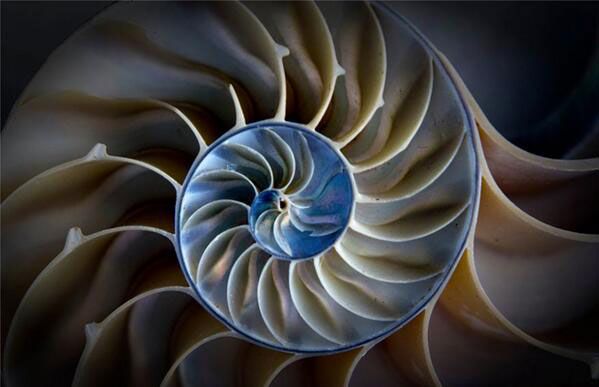 MTR mountain top removal in WV 