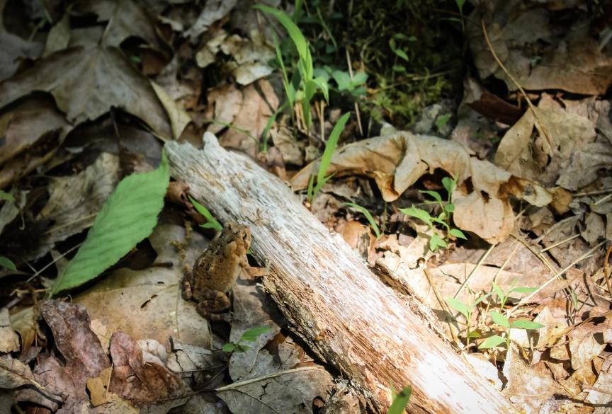 somewhere in so-called VA