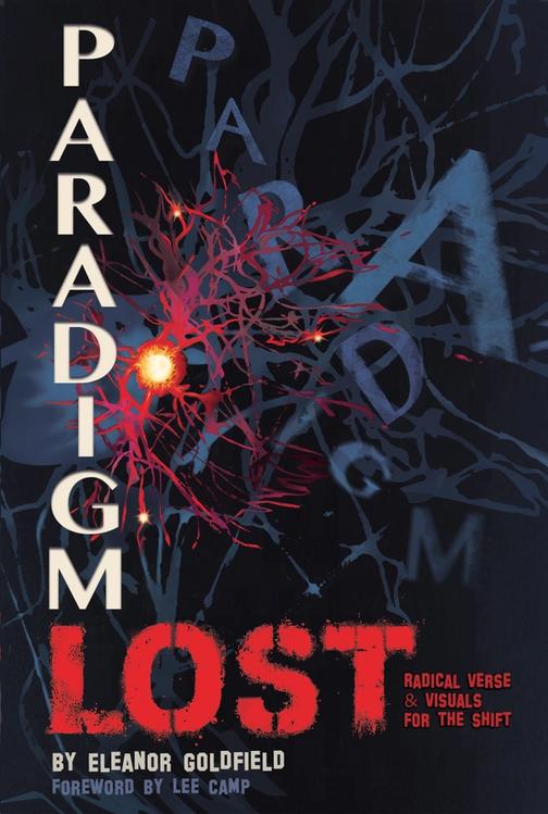 cover of Paradigm Lost