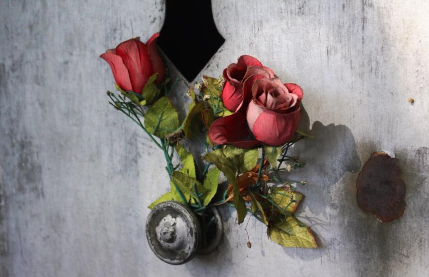 roses on a grave