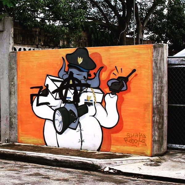 a questioning of the American institution of policing