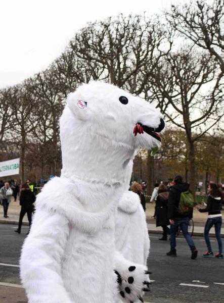 polar bear at protest