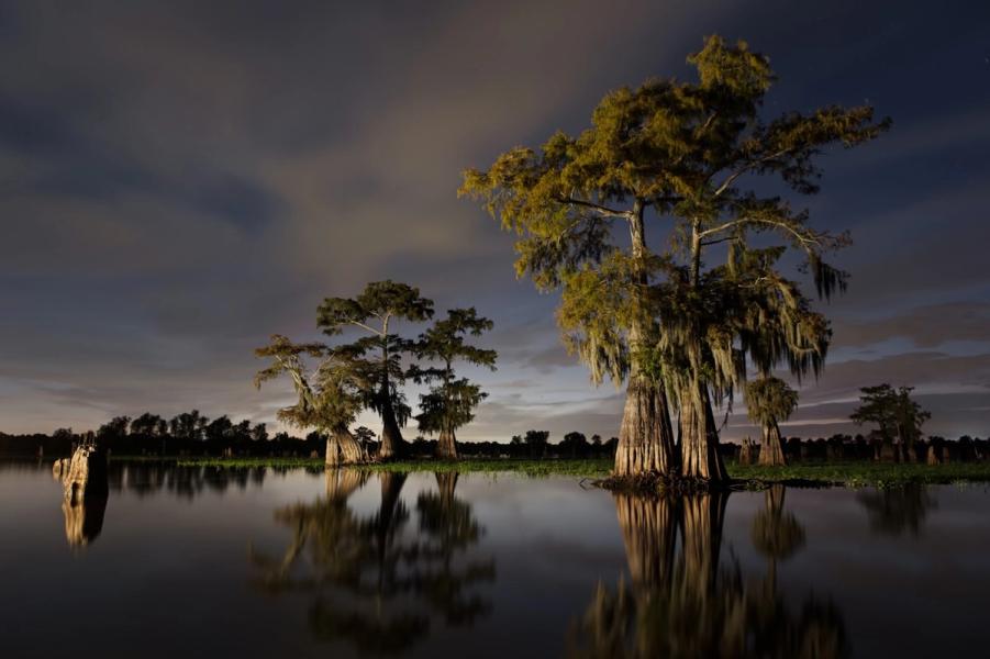 fighting the Bayou Bridge Pipeline in southern Louisiana