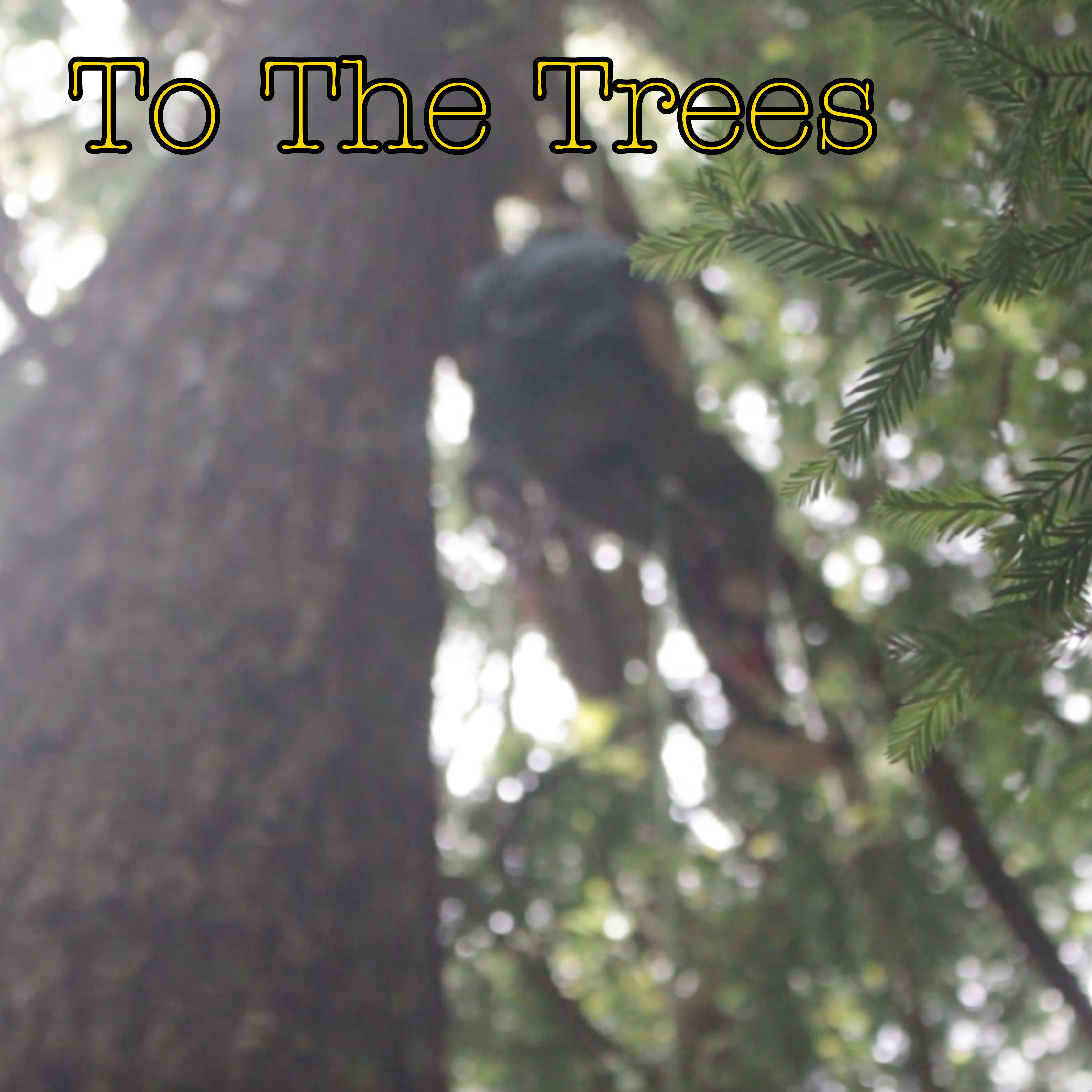 tree climber blurred in background, film title