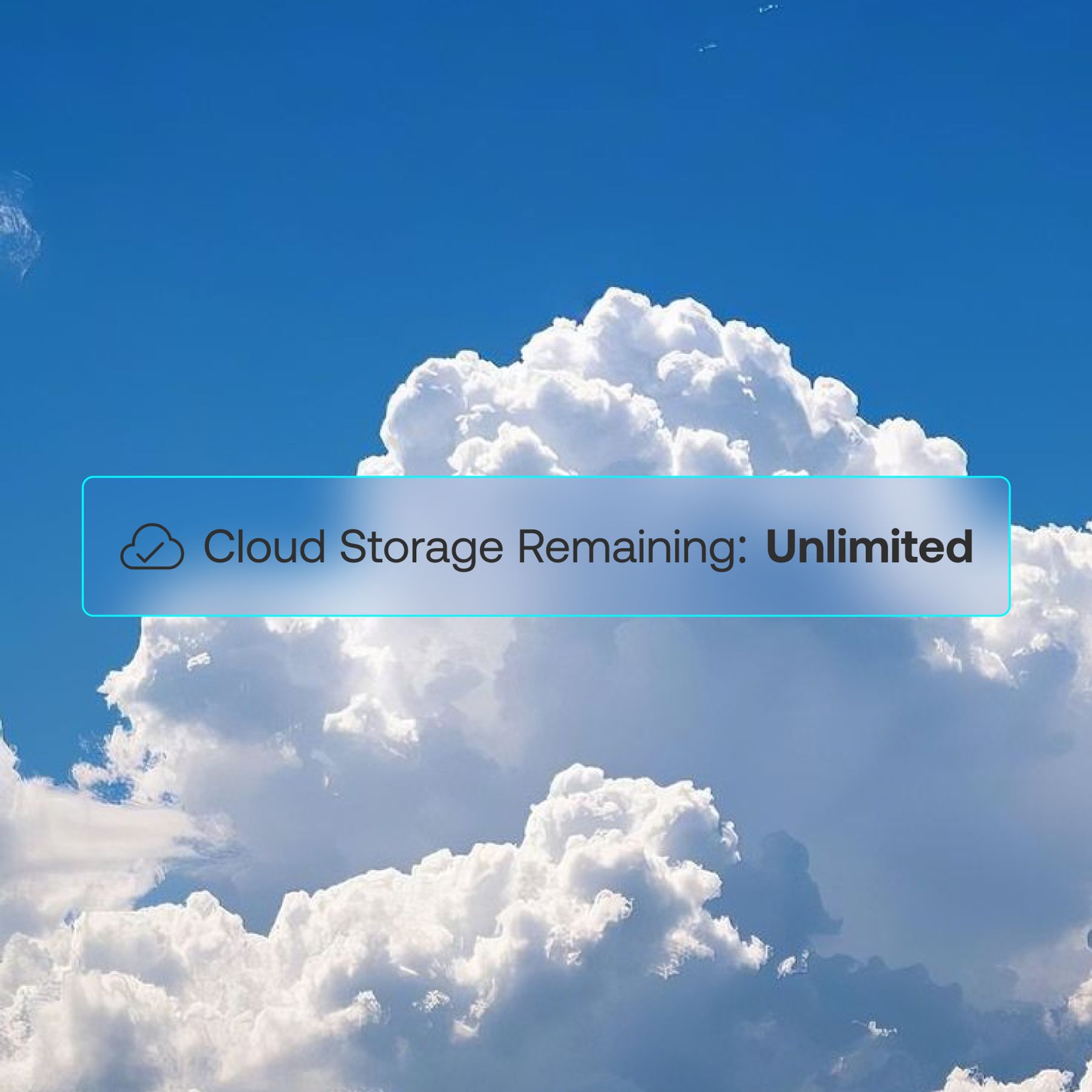 Carbonite — case study image