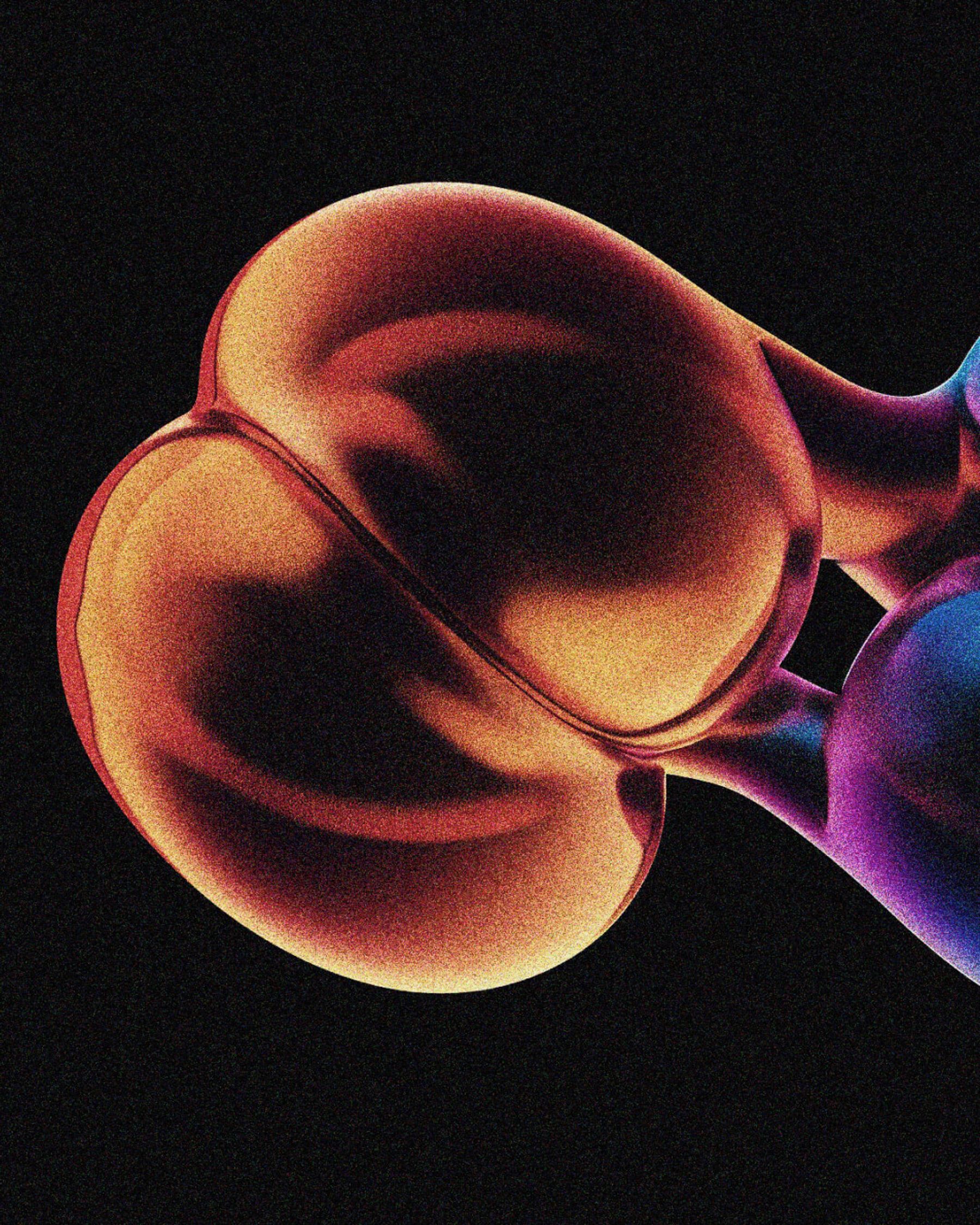 TBT — case study image