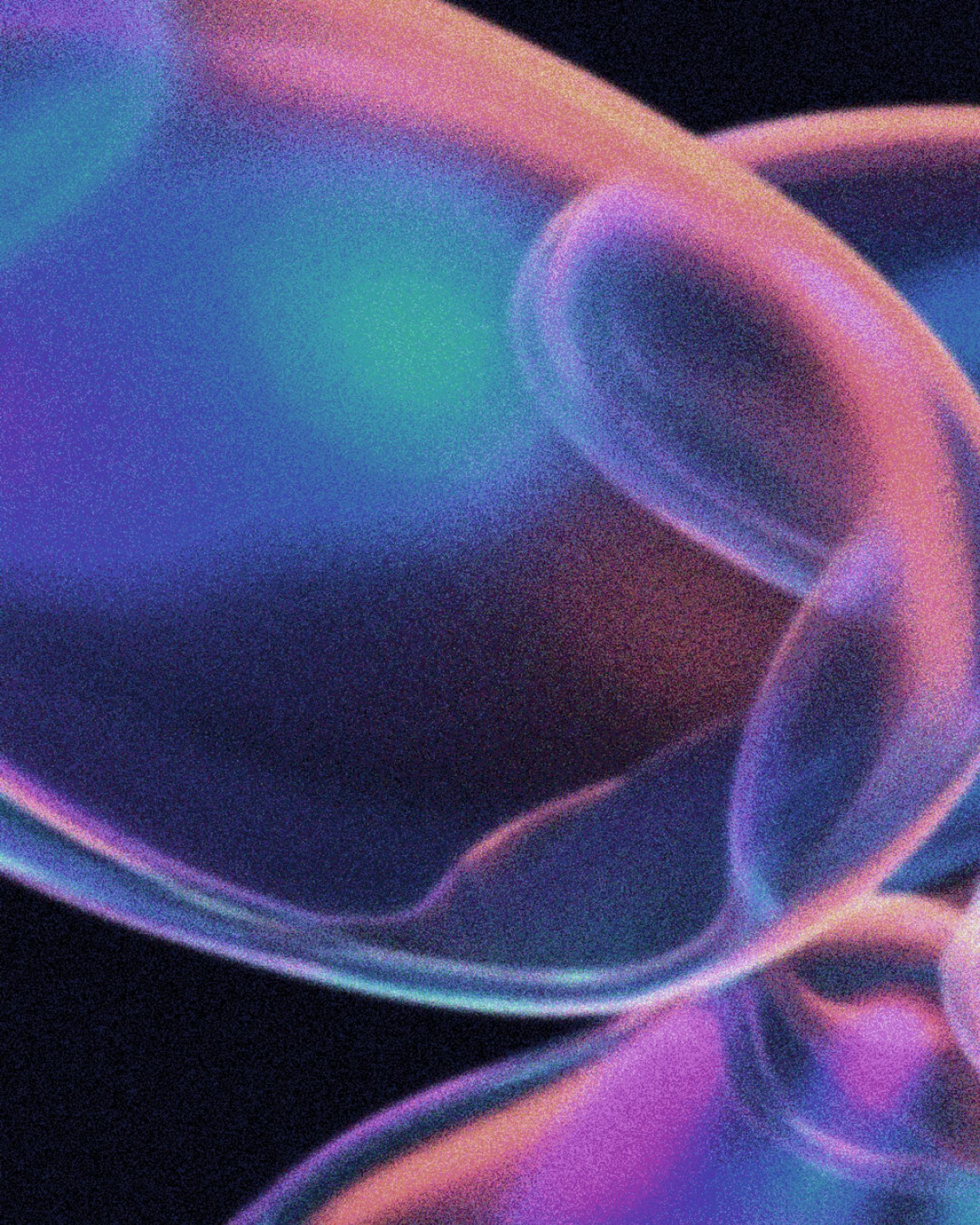 TBT — case study image