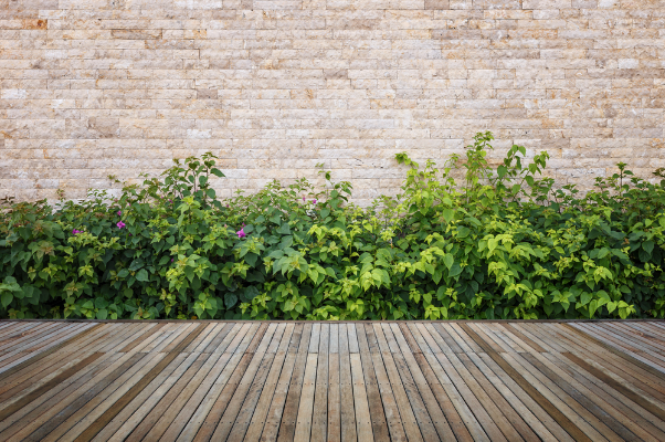 photo d’une terrasse en bois avec végétation 