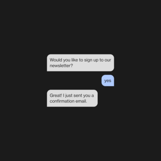 Front-end setup for a newsletter signup conversation