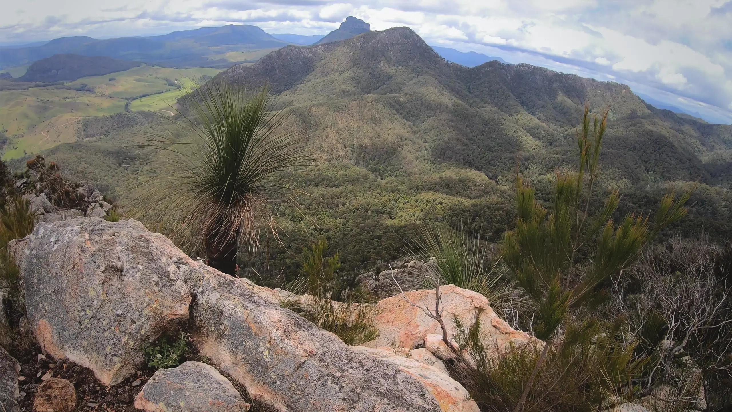 mt-barney-view
