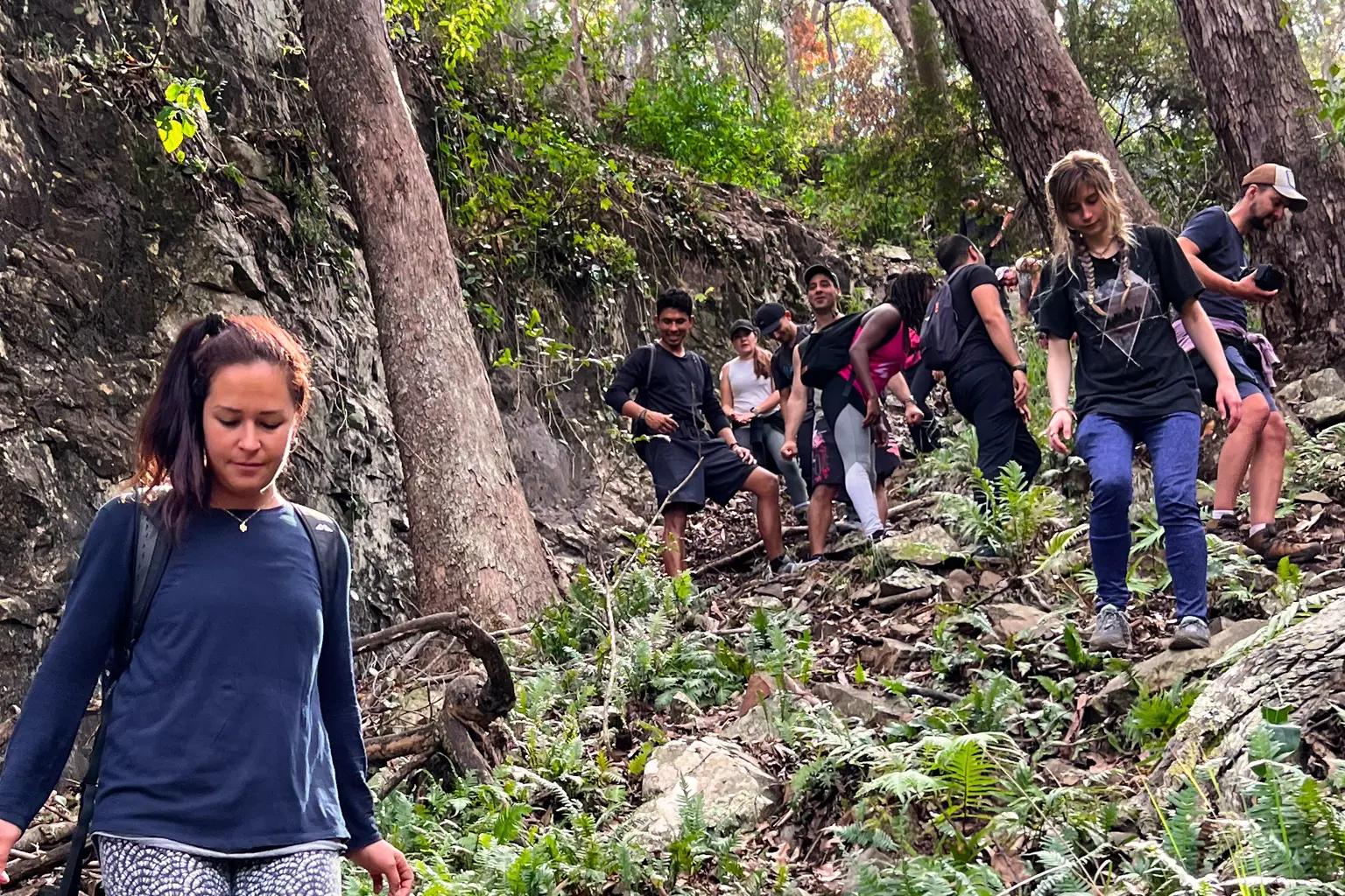 Greville_group_down_gorge
