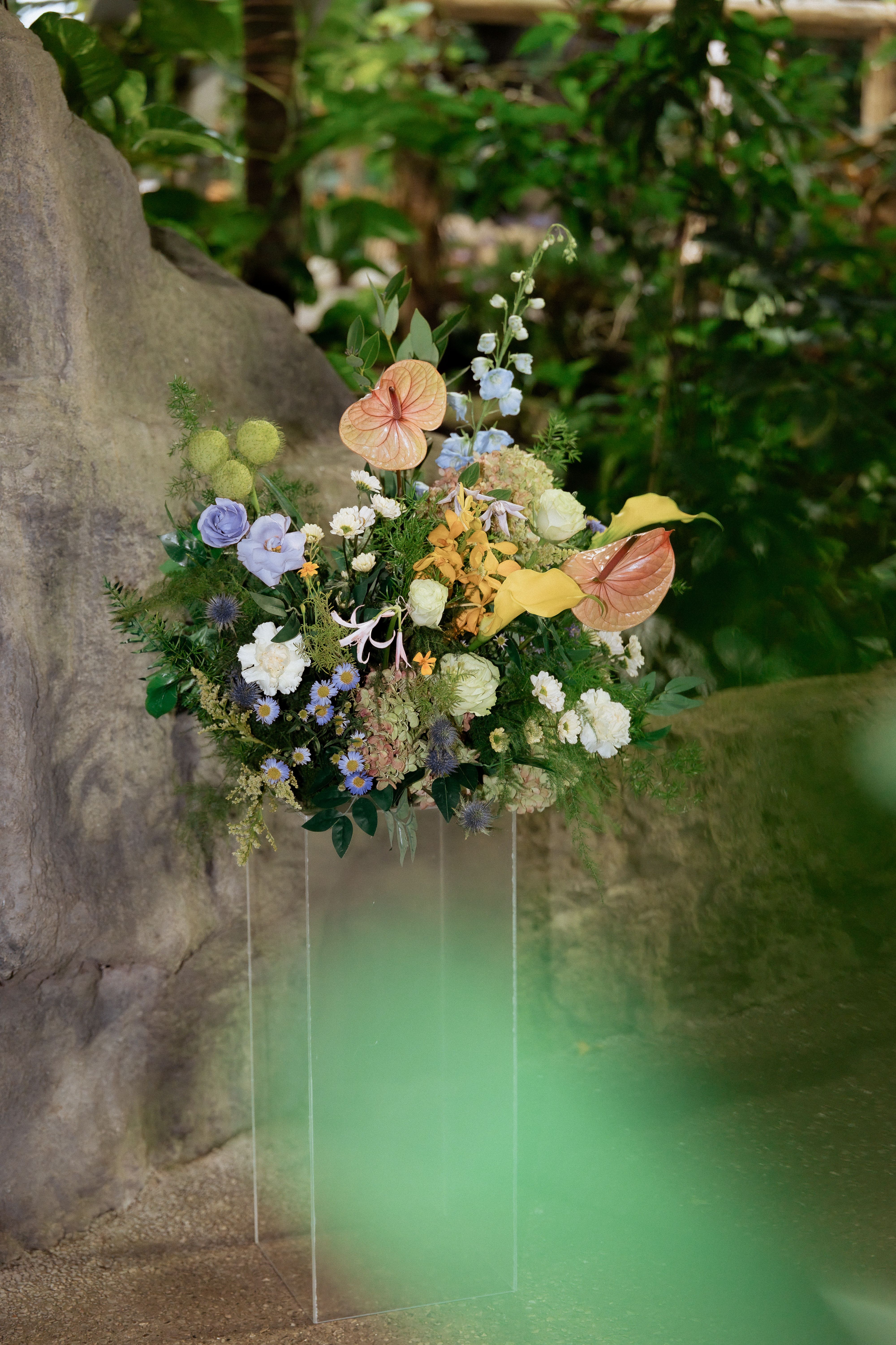 Yellow, pink, blue and white flowers on a clear stand beside rockwork at Cambridge Butterfly Conservatory.