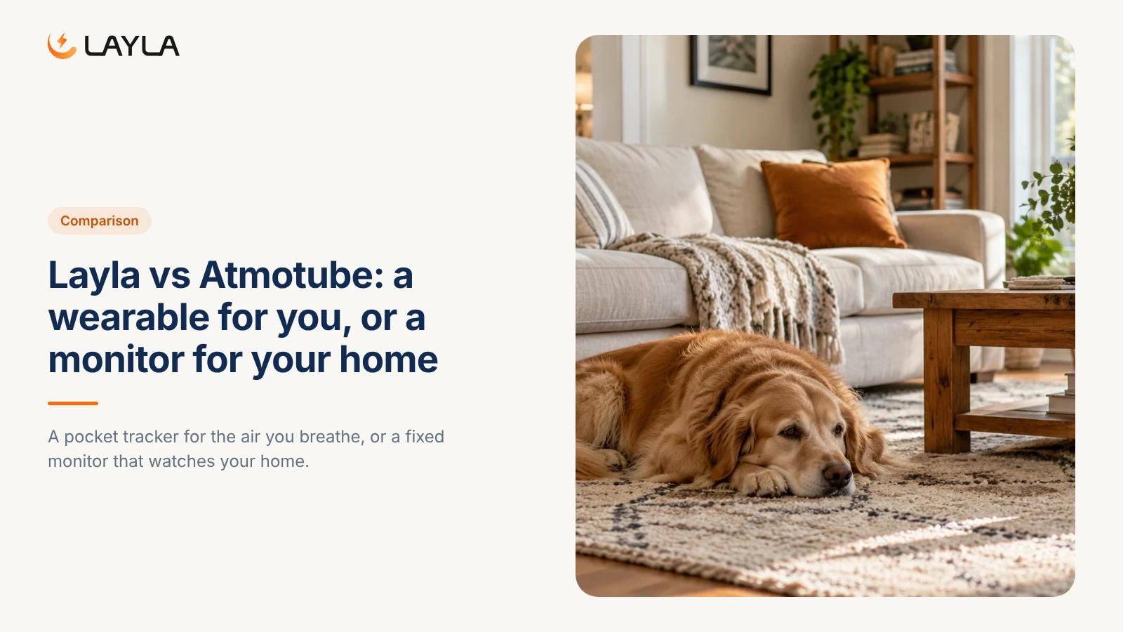 Layla vs Atmotube: a wearable for you, or a monitor for your home cover