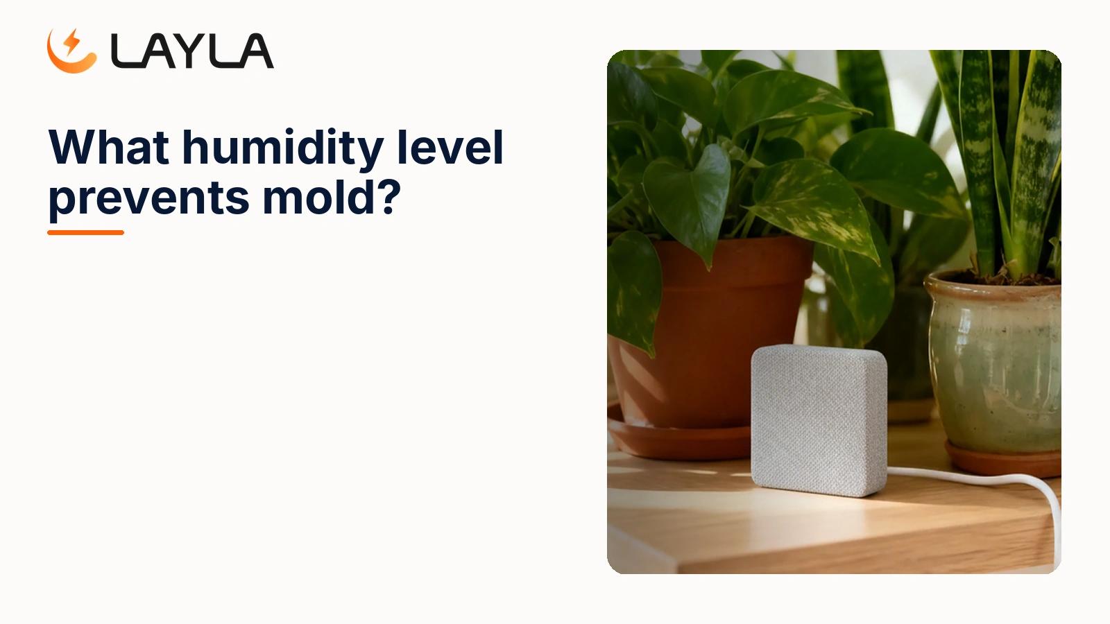What humidity level prevents mold? cover