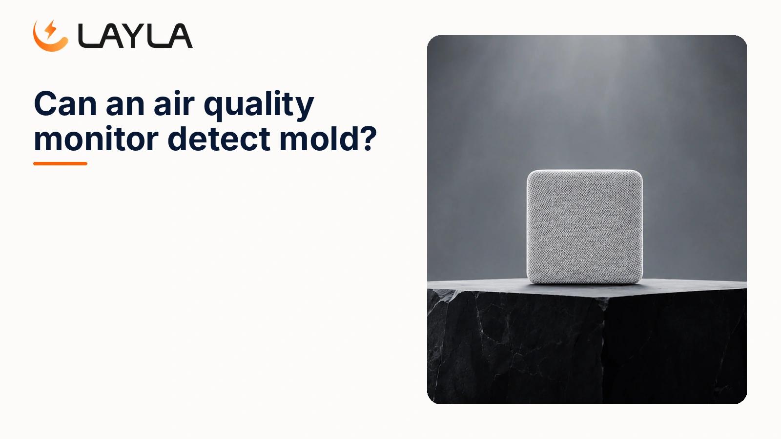 Can an air quality monitor detect mold? cover