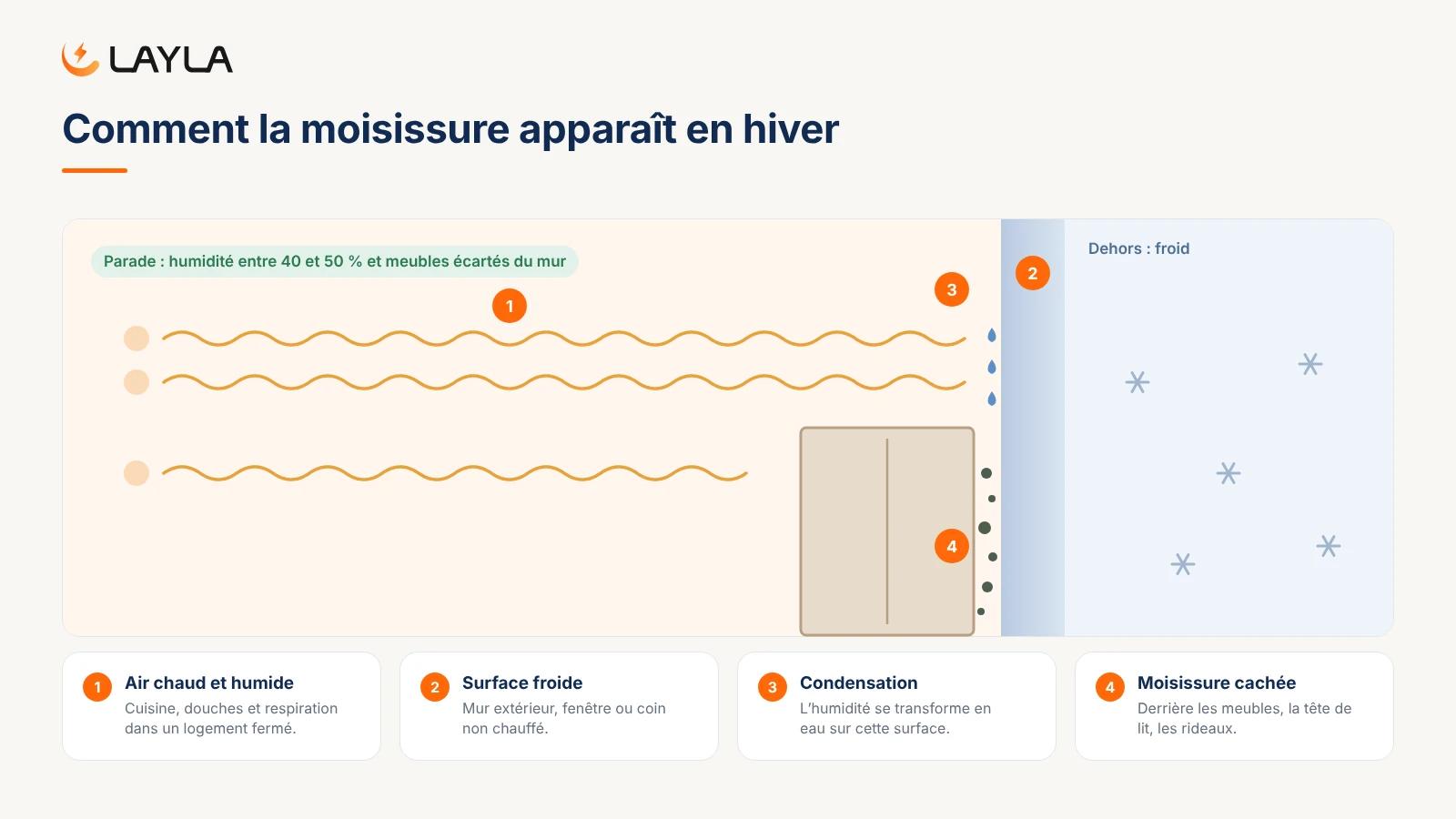 Comment la moisissure apparaît en hiver