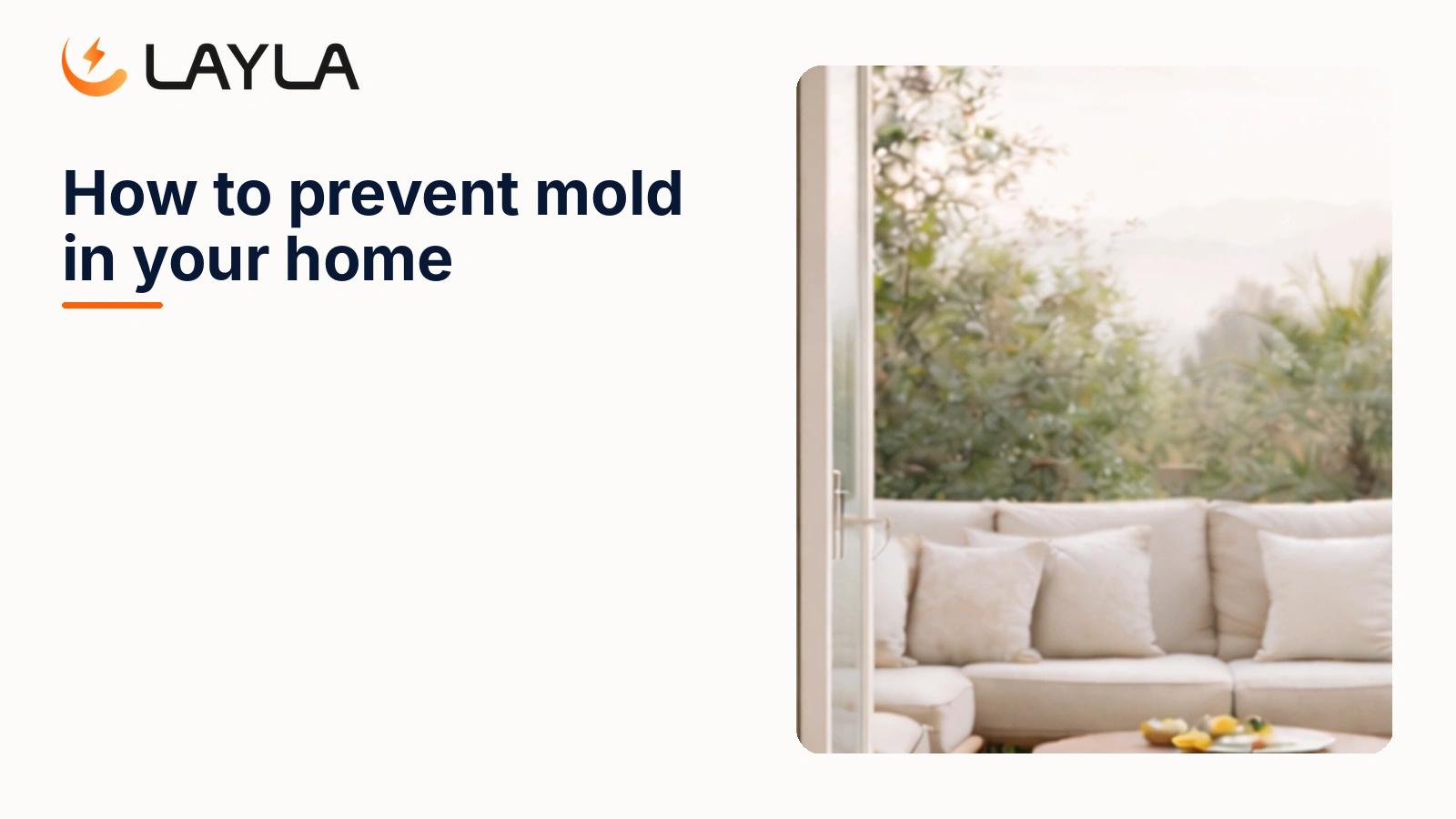 How to prevent mold in your home cover
