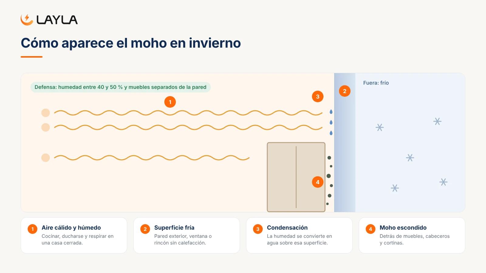 Cómo aparece el moho en invierno
