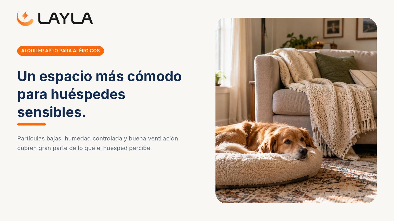 Cómo hacer un alquiler más apto para alérgicos cover
