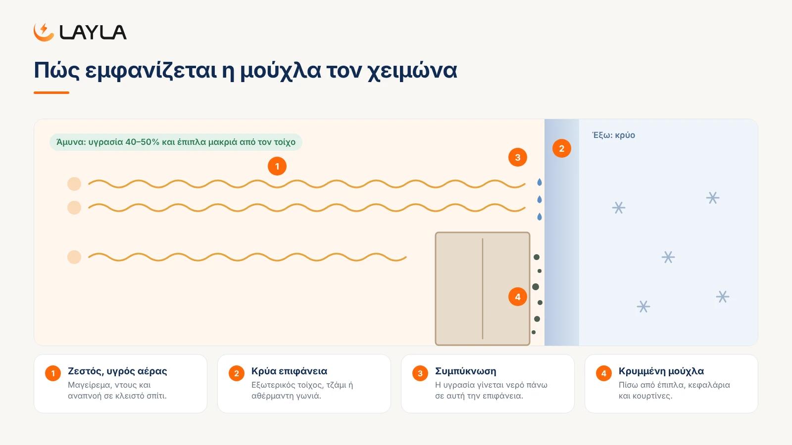 Πώς εμφανίζεται η μούχλα τον χειμώνα
