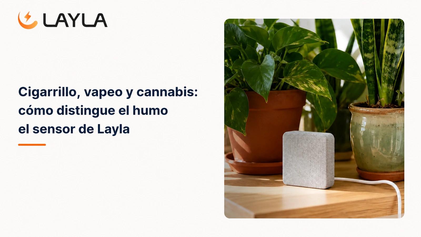 Cigarrillo, vapeo y cannabis: cómo distingue el humo el sensor de Layla cover