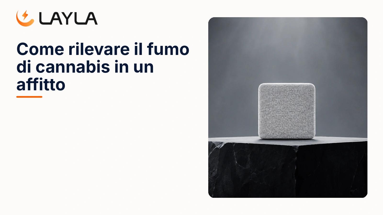 Come rilevare il fumo di cannabis in un affitto cover