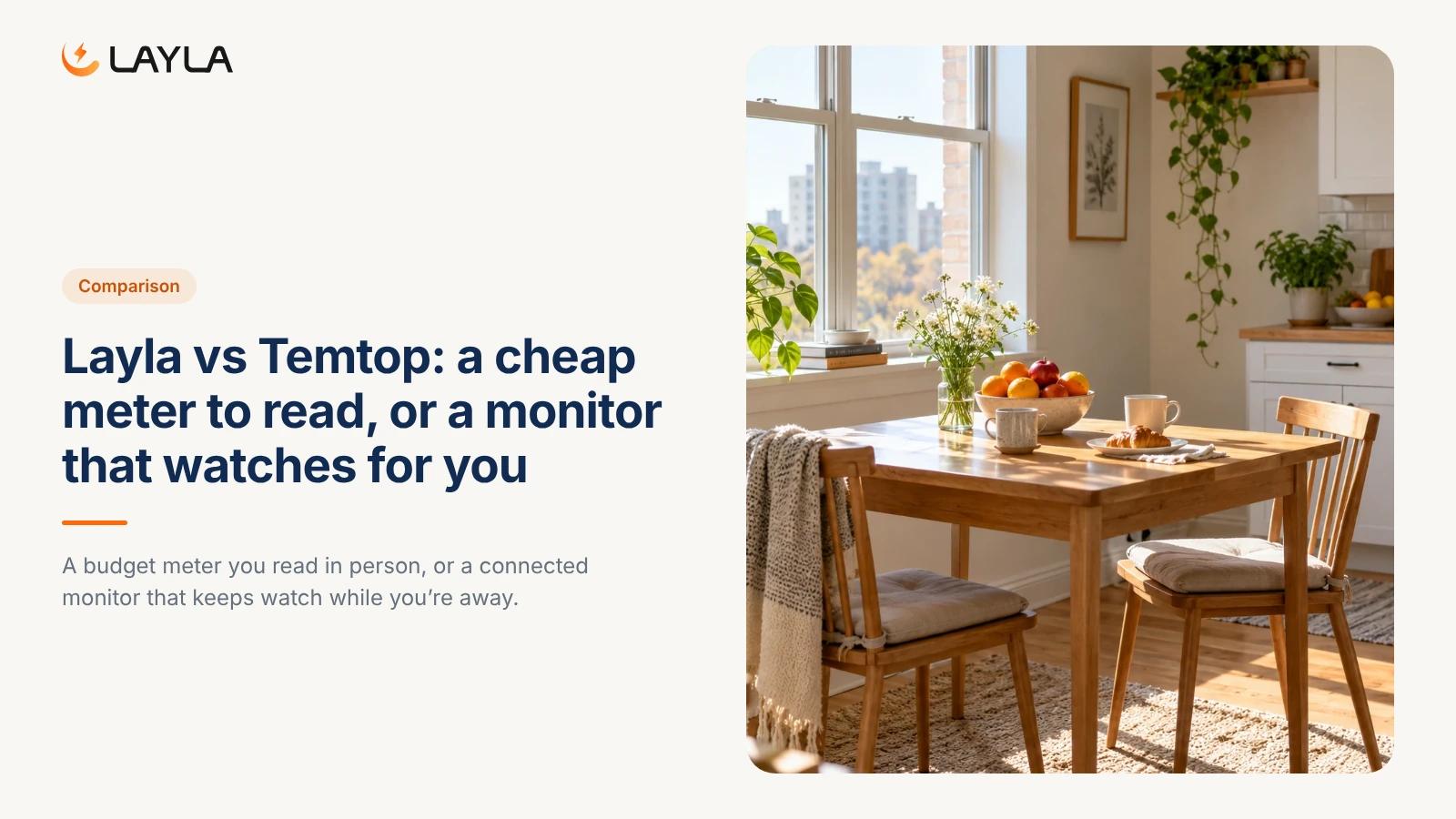 Layla vs Temtop: a cheap meter to read, or a monitor that watches for you cover