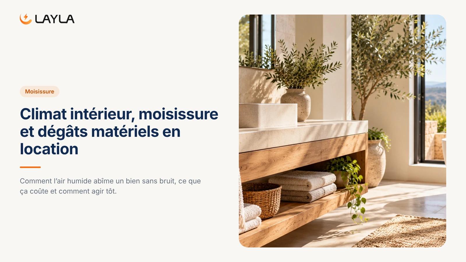 Climat intérieur, moisissure et dégâts matériels en location cover