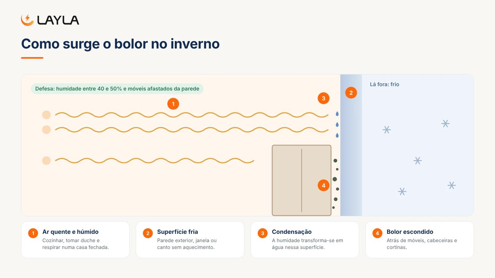Como surge o bolor no inverno