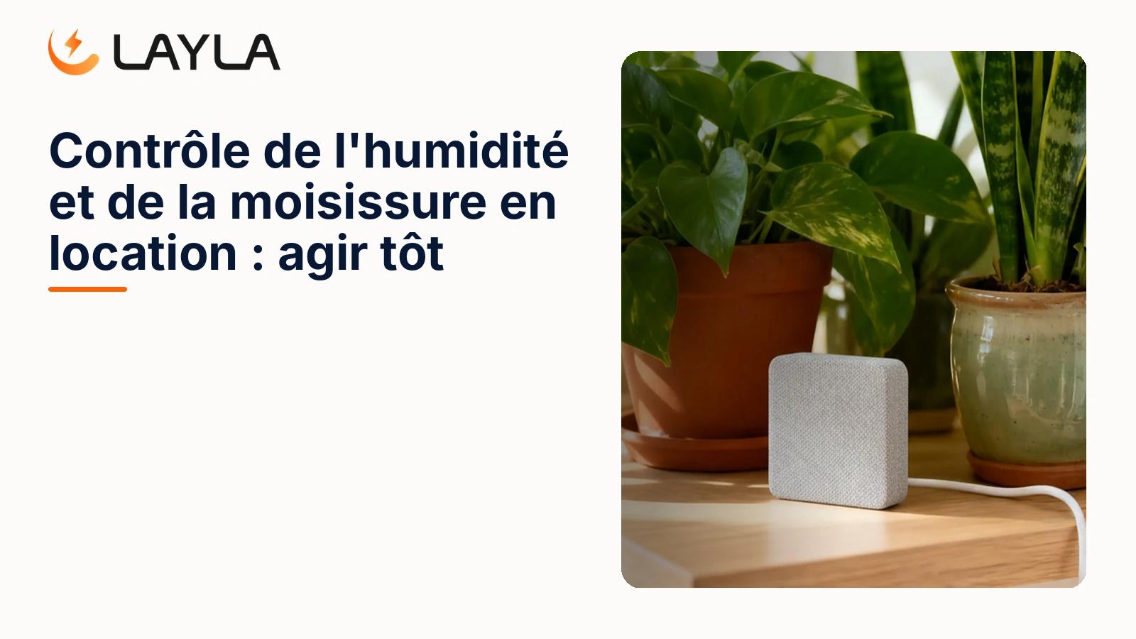 Contrôle de l'humidité et de la moisissure en location cover