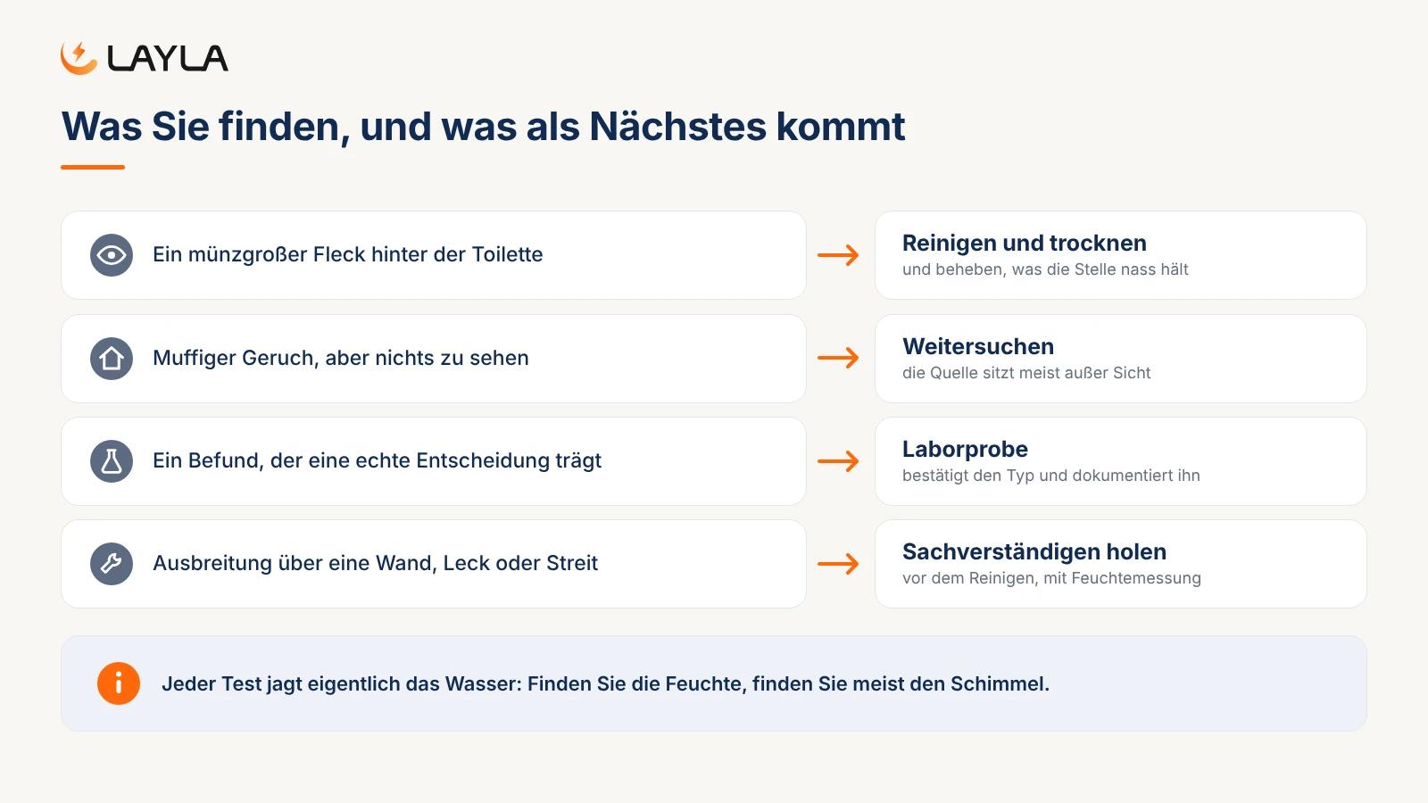 Was Sie finden, und was als Nächstes kommt