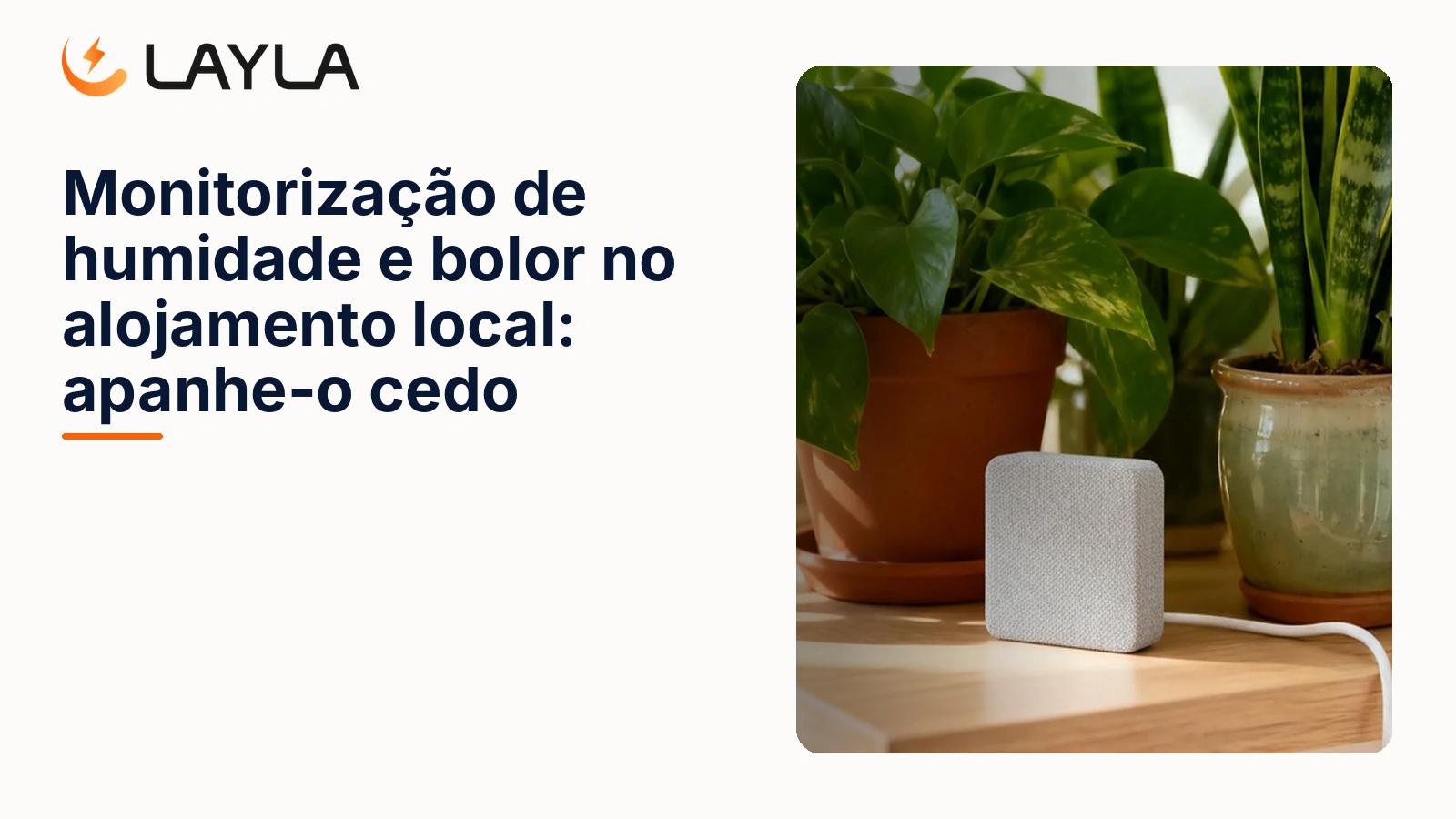 Monitorização de Humidade e Bolor no Alojamento Local cover