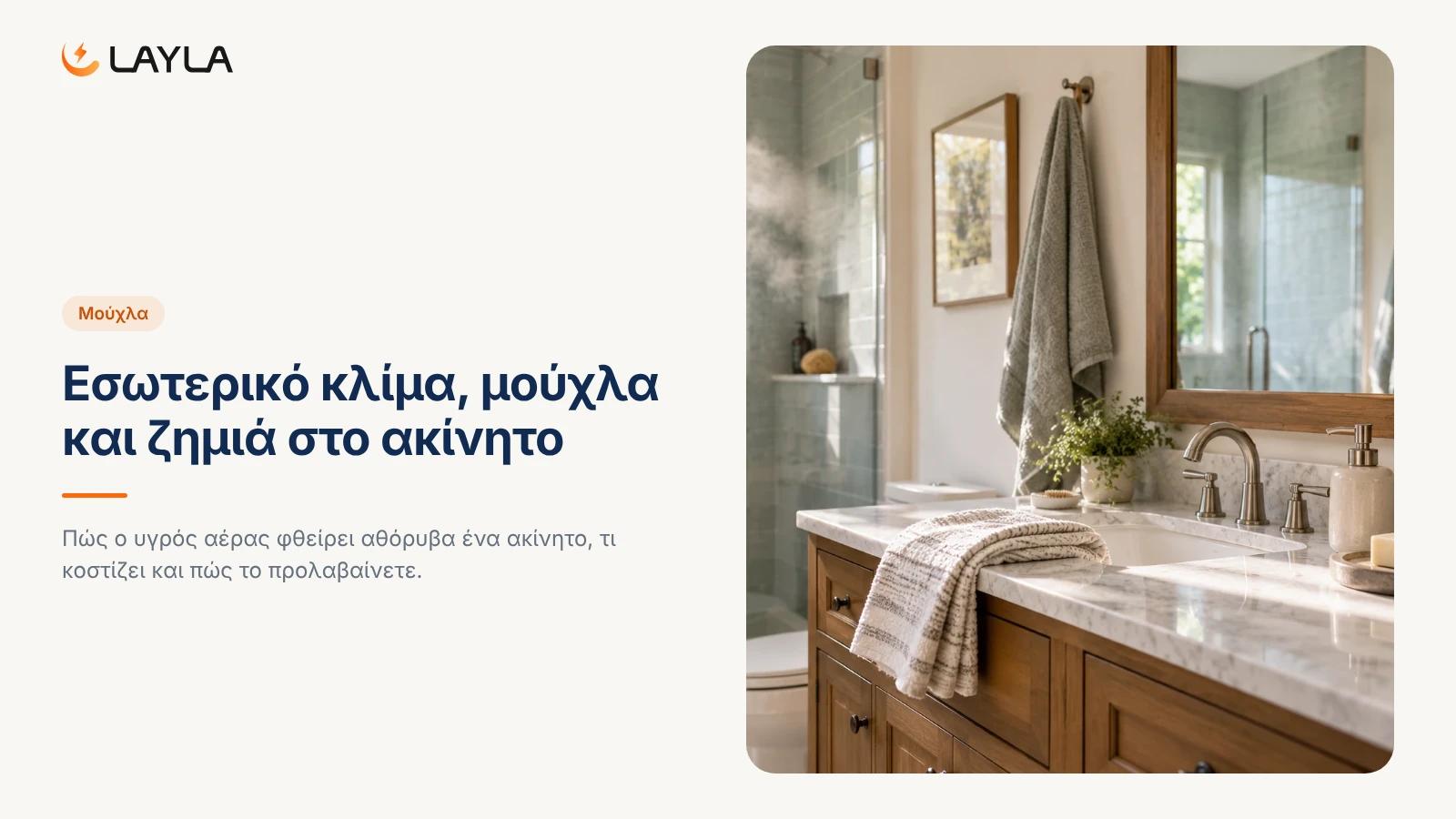 Εσωτερικό κλίμα, μούχλα και ζημιά στο ακίνητο cover