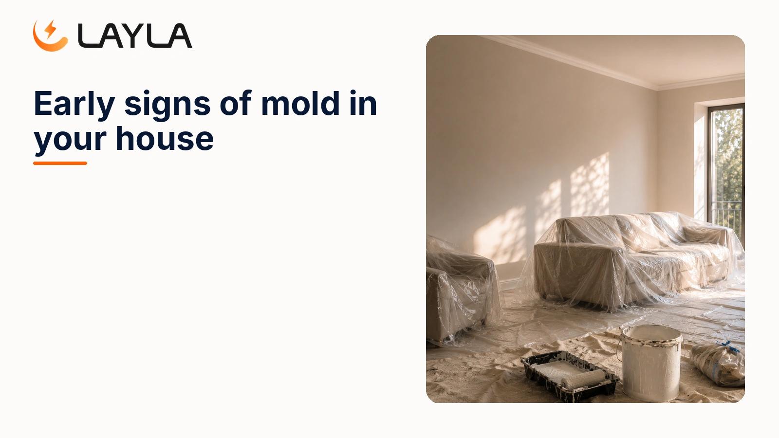 Early signs of mold in your house cover