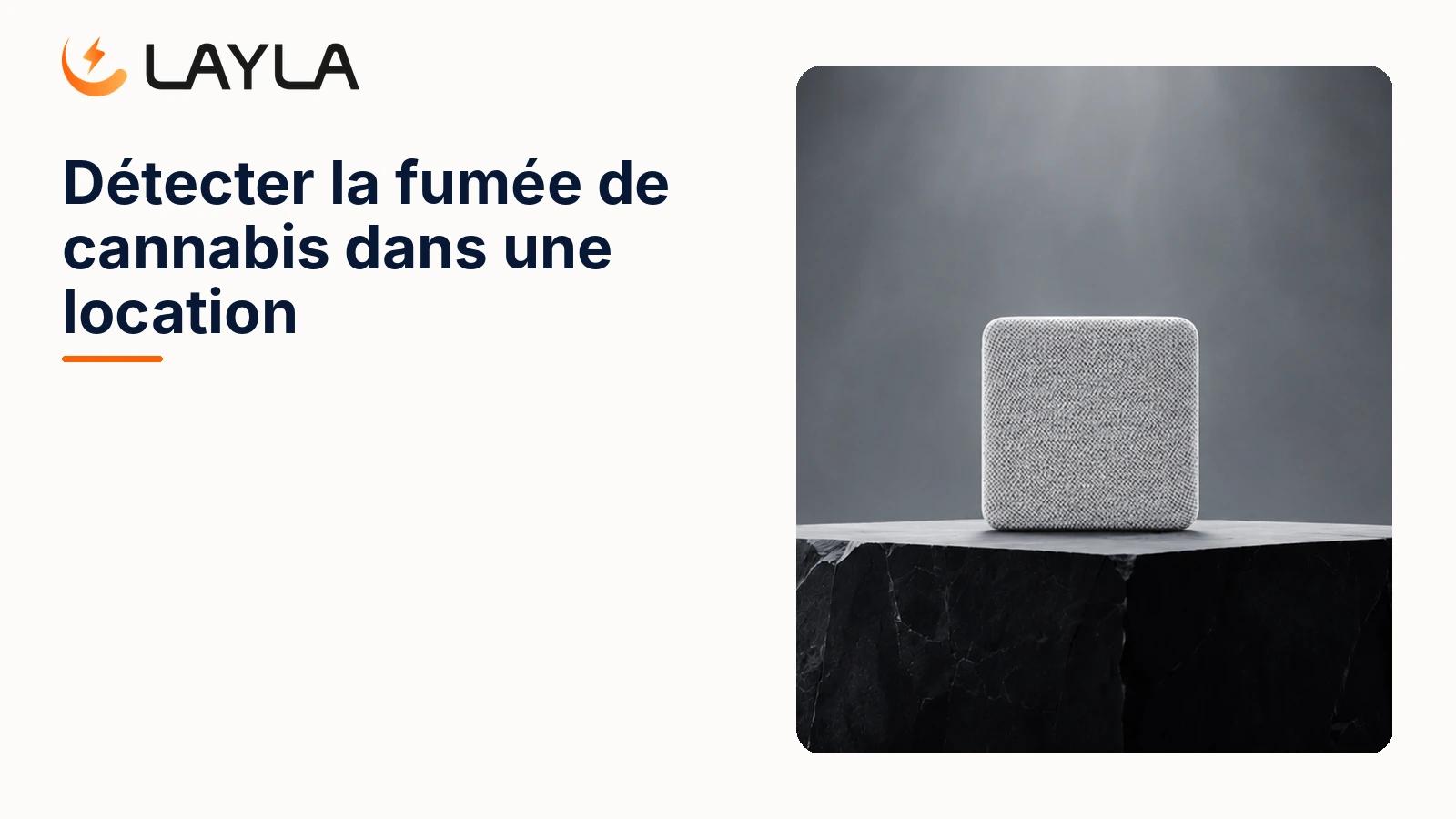 Détecter la fumée de cannabis dans une location cover