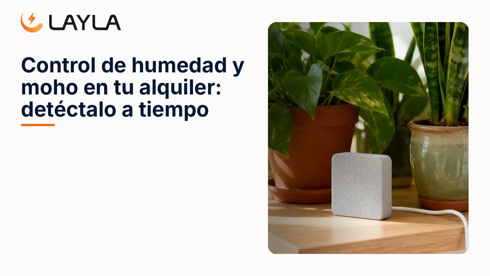 Control de humedad y moho en tu alquiler: detéctalo a tiempo cover