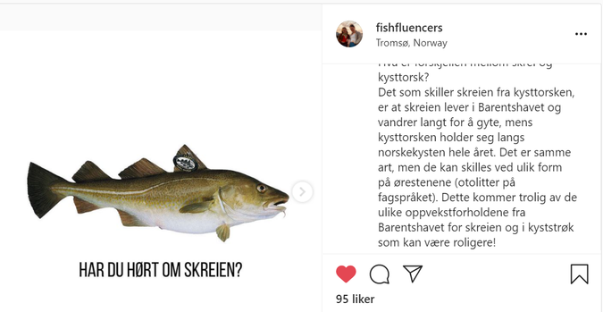 Har du hørt om skrei står det skrevet under avbilding av en fisk på et bilde på instagram IG: @fishfluencers 