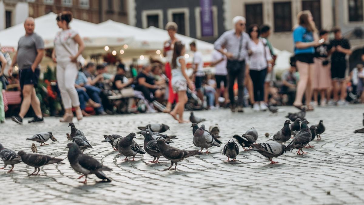Illustrasjonsbilde tatt av Adam Nieścioruk fra Unsplash