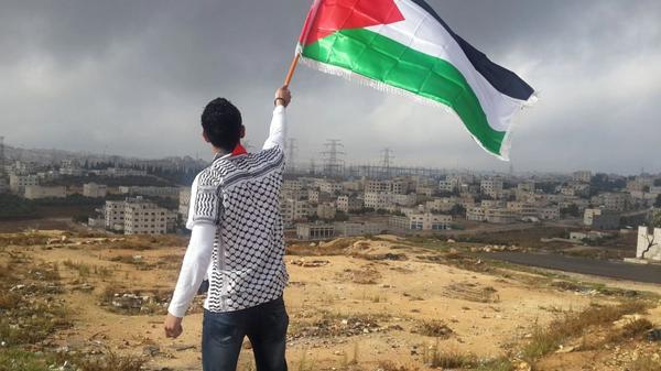 Person med Palestina-flagg