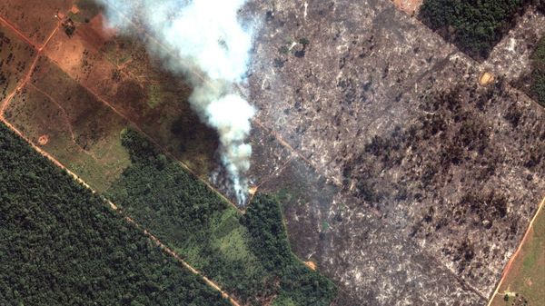Foto av brennende Amazonas regnskog 