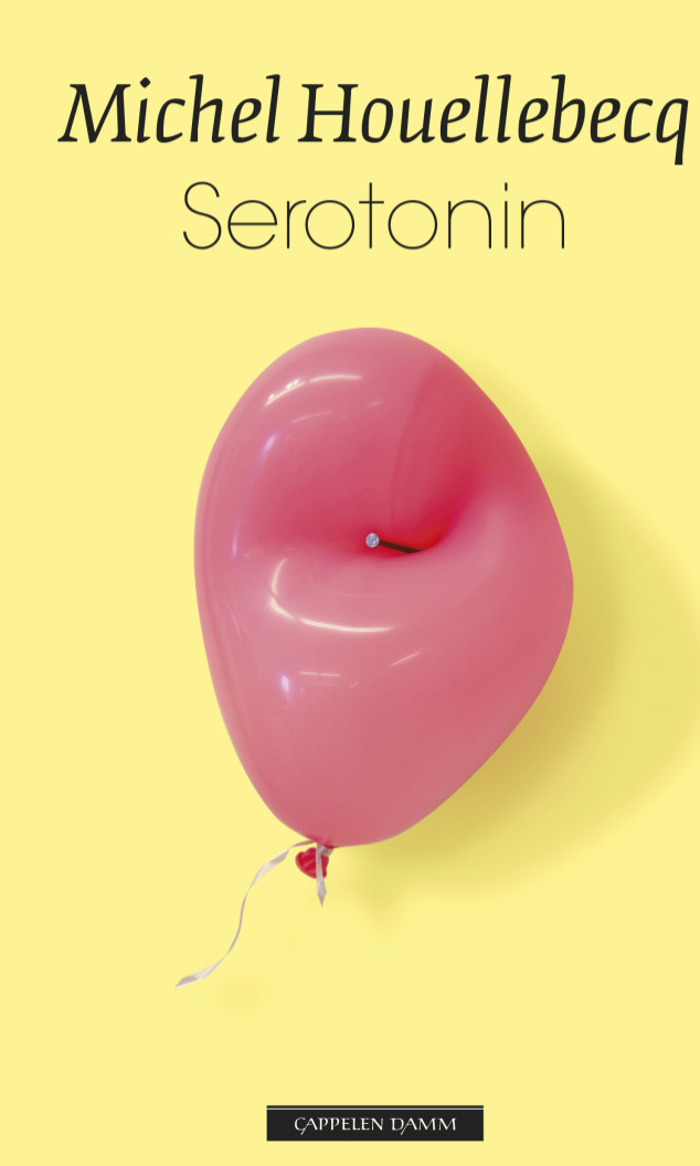 Foto av coveret til boken Serontinin