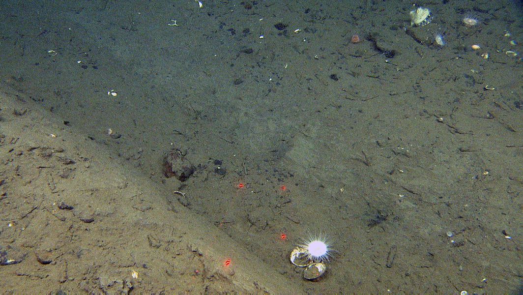 Undervannsbilde av en grøft i mudderet