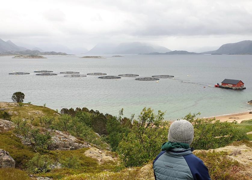 To barn ser utover kystlandskap med oppdrettsanlegg