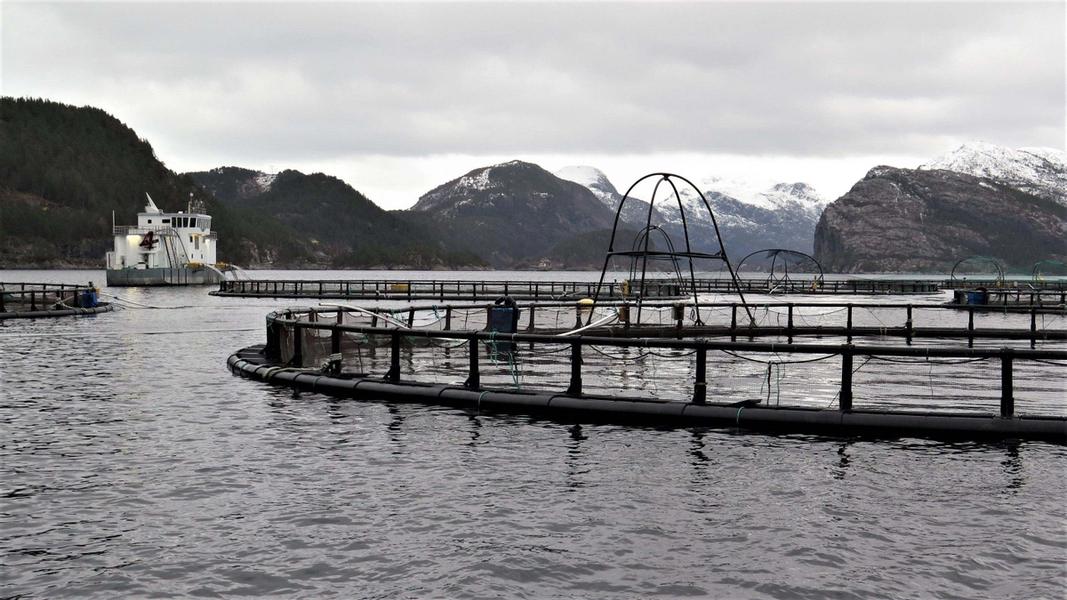 Oppdrettsmerder i Nordnorsk kystlandskap