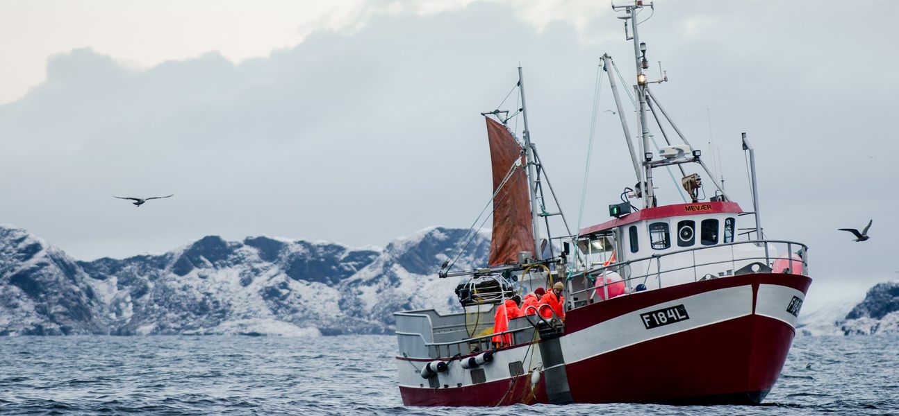 Liten fiskebåt som trekker garn med torsk.