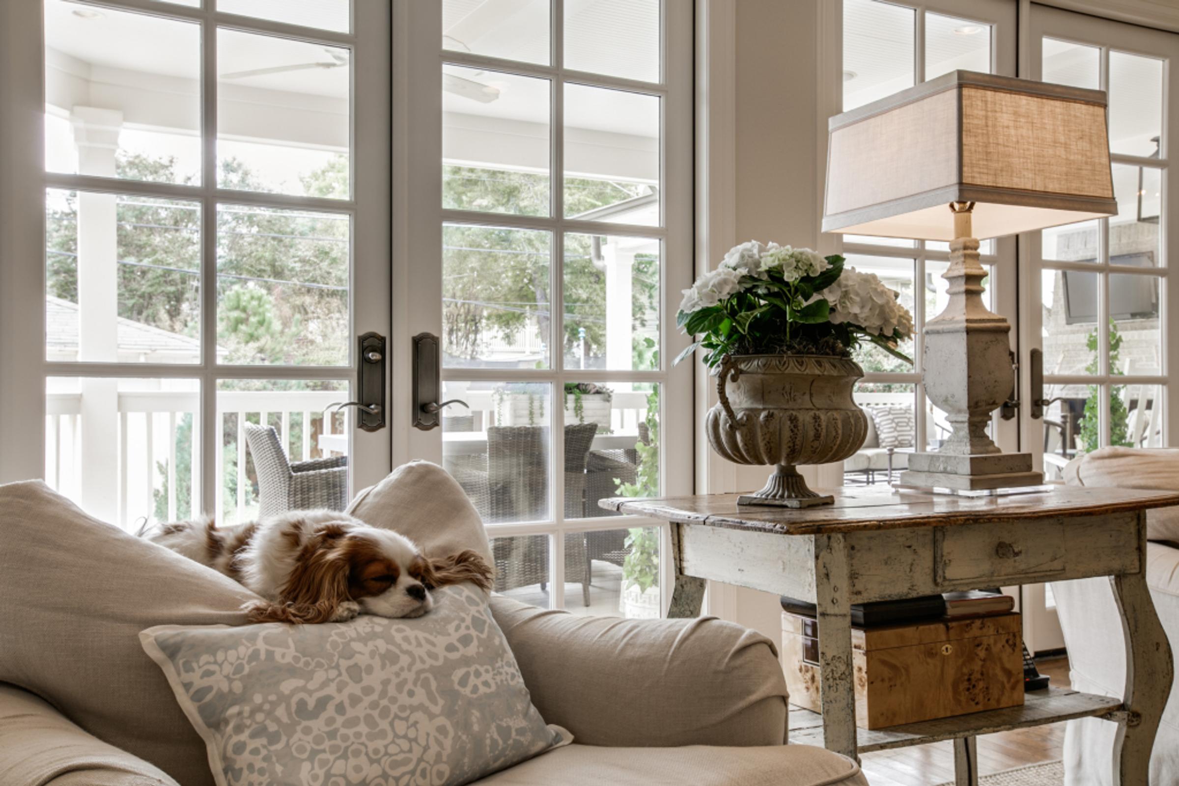 Shoot2Sell Photography Home Prep Checklist Pets