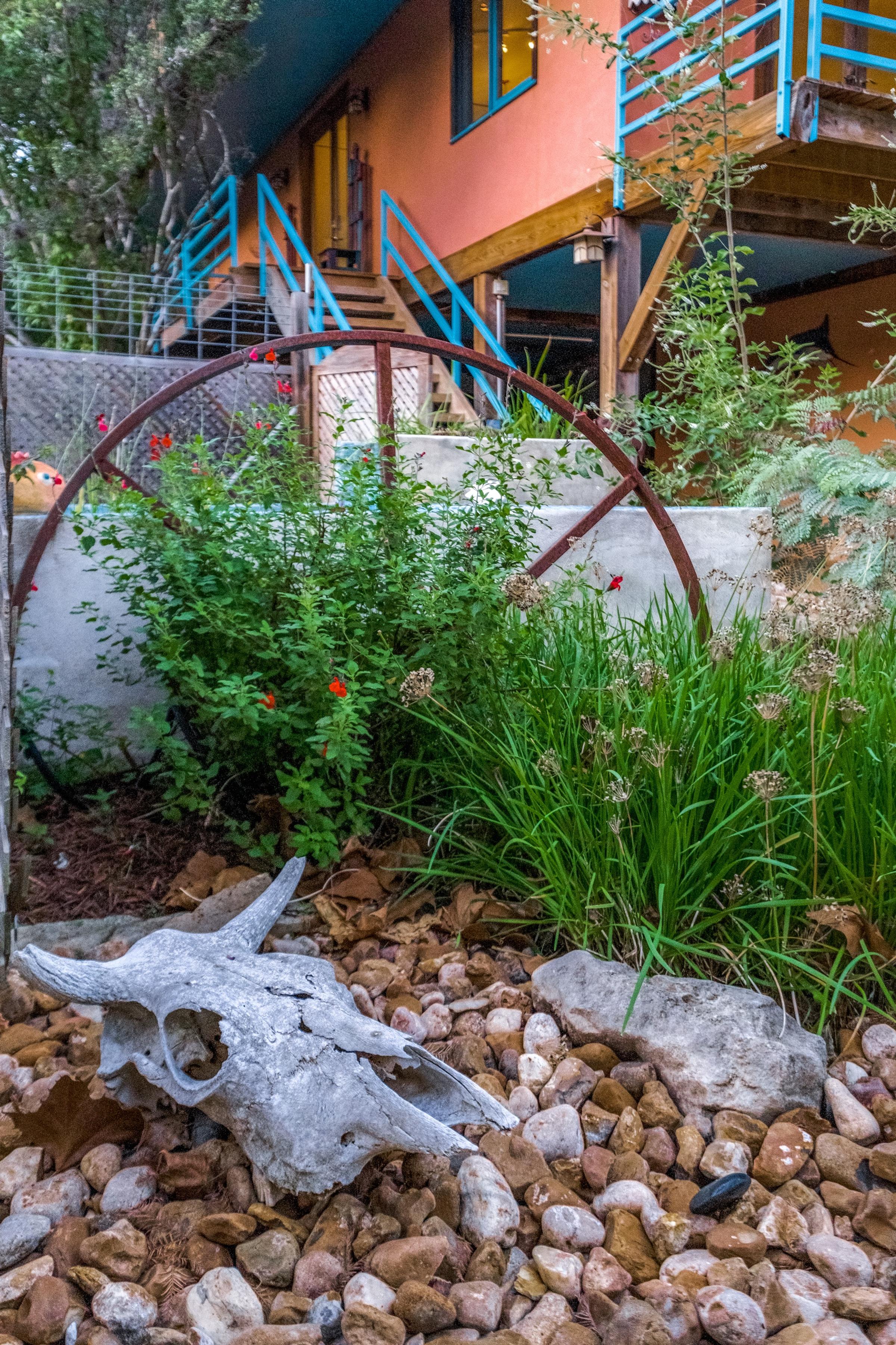 Rustic garden detail with cow skull, wagon wheel, river rocks, and wildflowers in front of a colorful Hill Country home in Spring Branch, Texas.