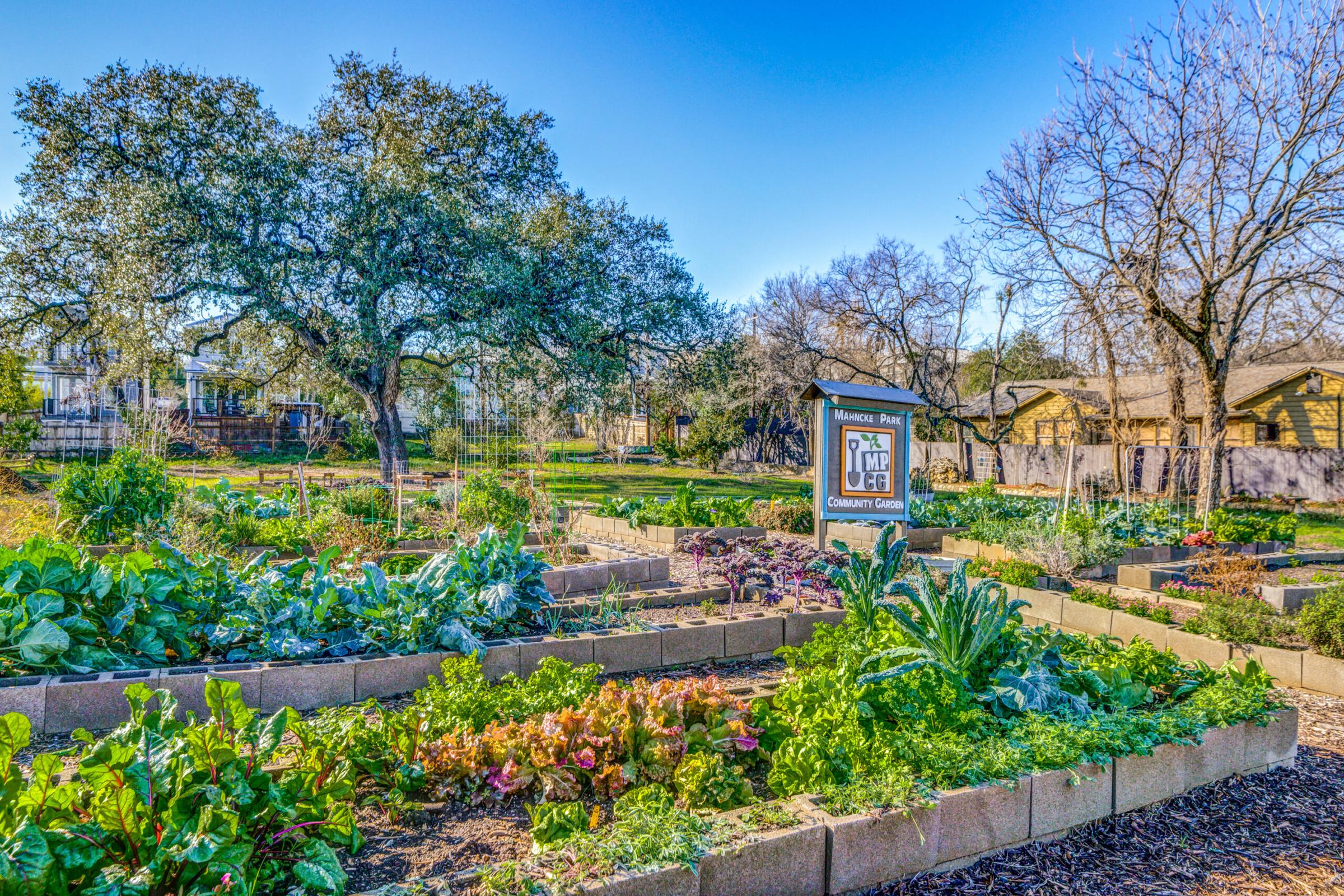 Photo Highlights: Mahncke Community Garden